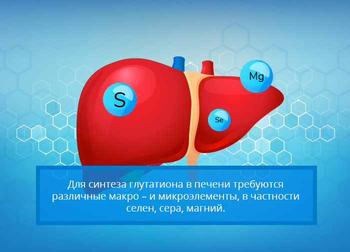 здоровье печени