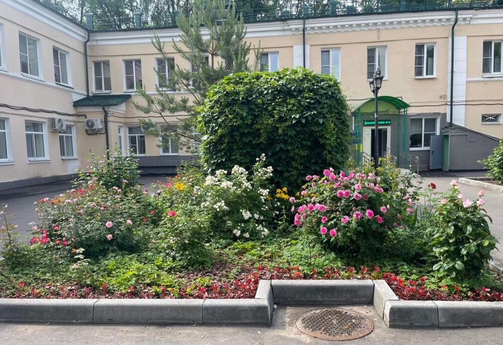 Детский бронхолегочный санаторий №29 Департамента здравоохранения города Москвы
