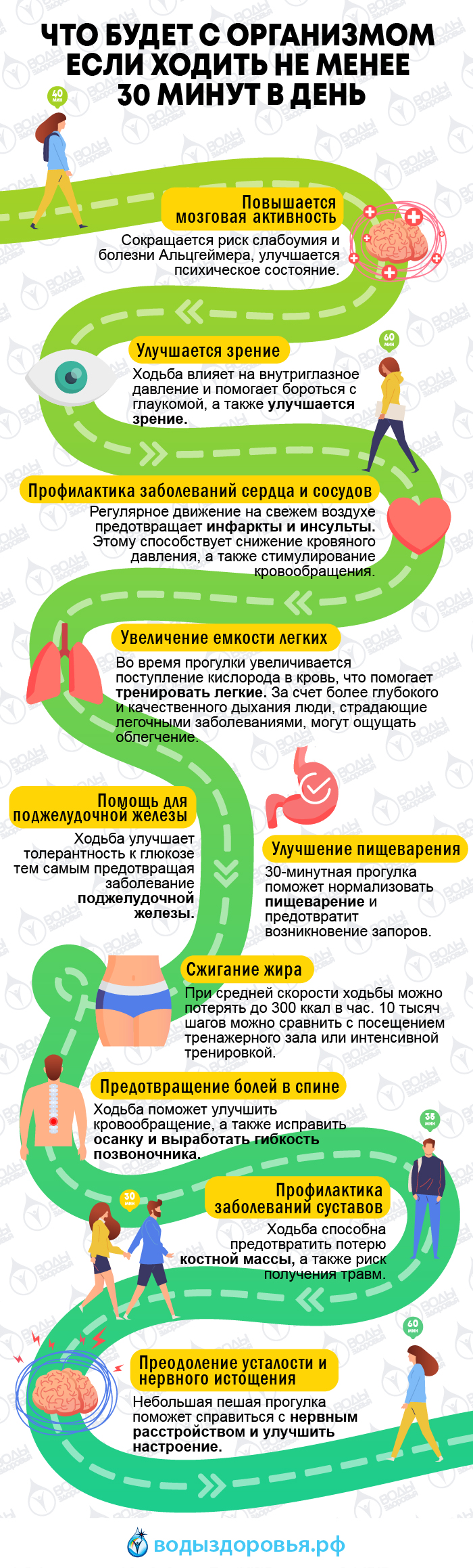Что будет с организмом если ходить не менее 30 минут в день